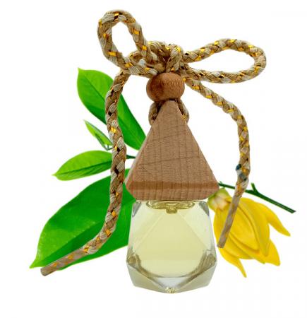 Treo Xe Tinh Dầu Ngọc Lan Tây