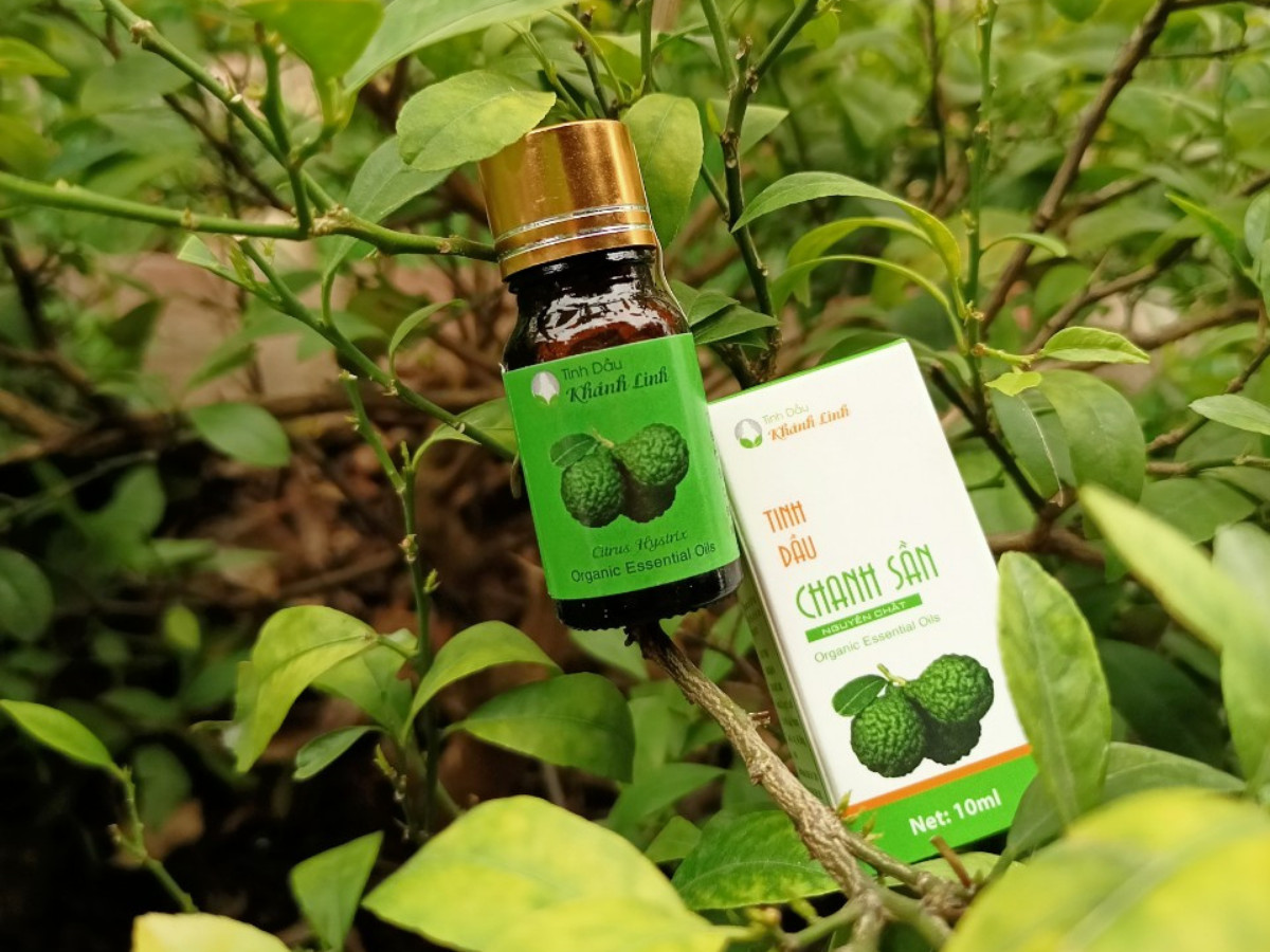 Tinh dầu chanh sần nguyên chất