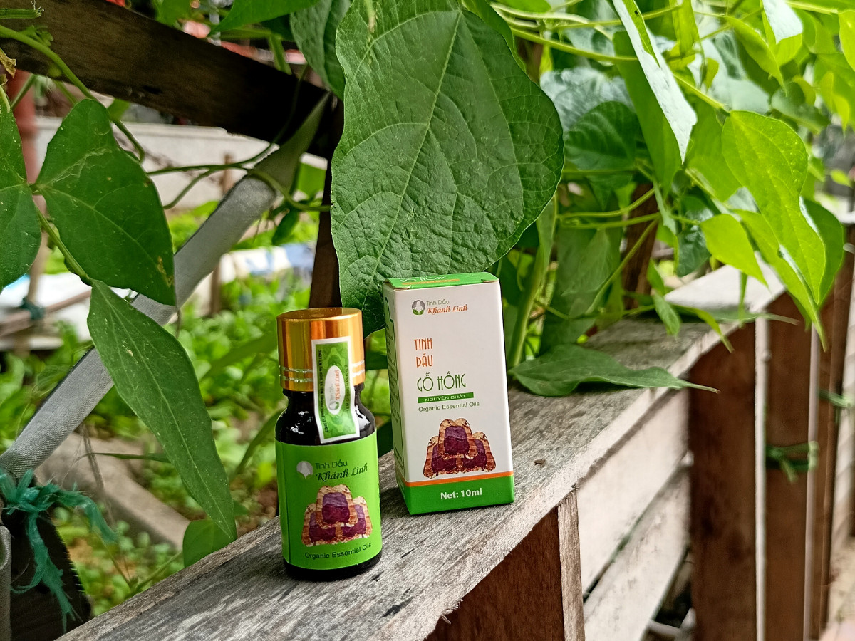 Tinh dầu Gỗ Hồng - Rose Wood Essential Oil