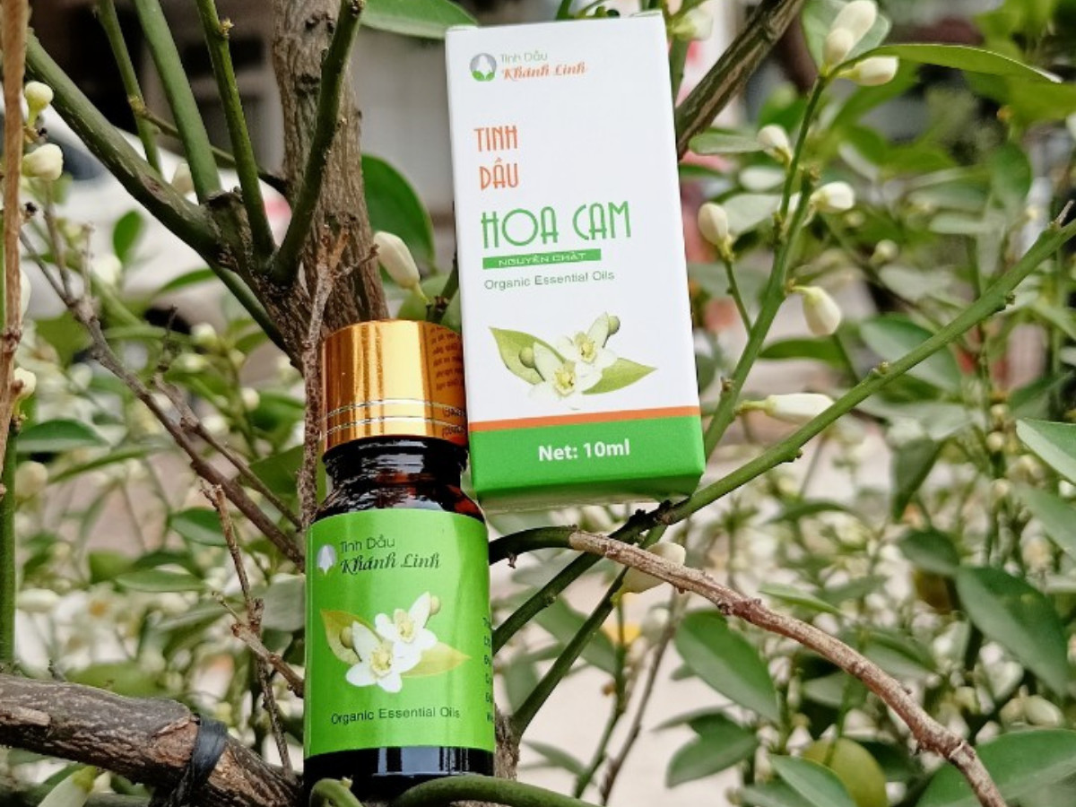 Tinh dầu Hoa Cam nguyên chất