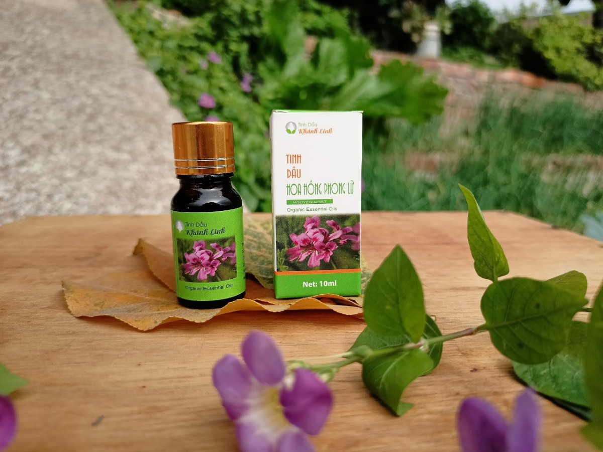 Tinh dầu hồng phong lữ nguyên chất
