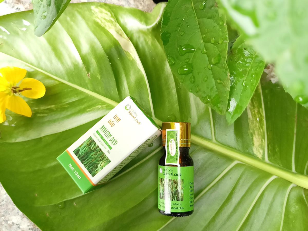 Tinh dầu khuynh diệp - Eucalyptus Essential Oil