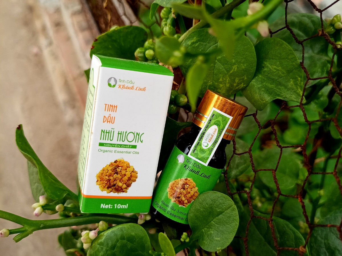 Tinh dầu Nhũ Hương - Frankincense Essential Oil