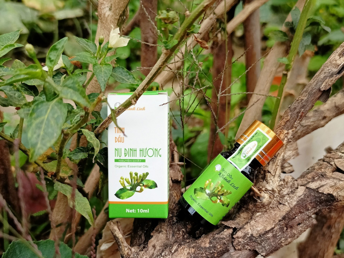 tinh dầu nụ đinh hương 