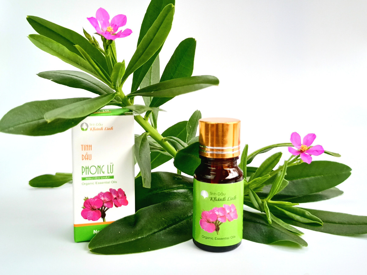 Tinh dầu Phong Lữ nguyên chất