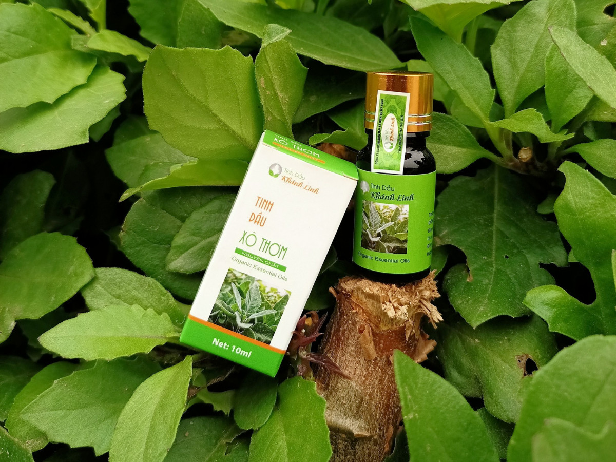 Tinh dầu Xô Thơm nguyên chất