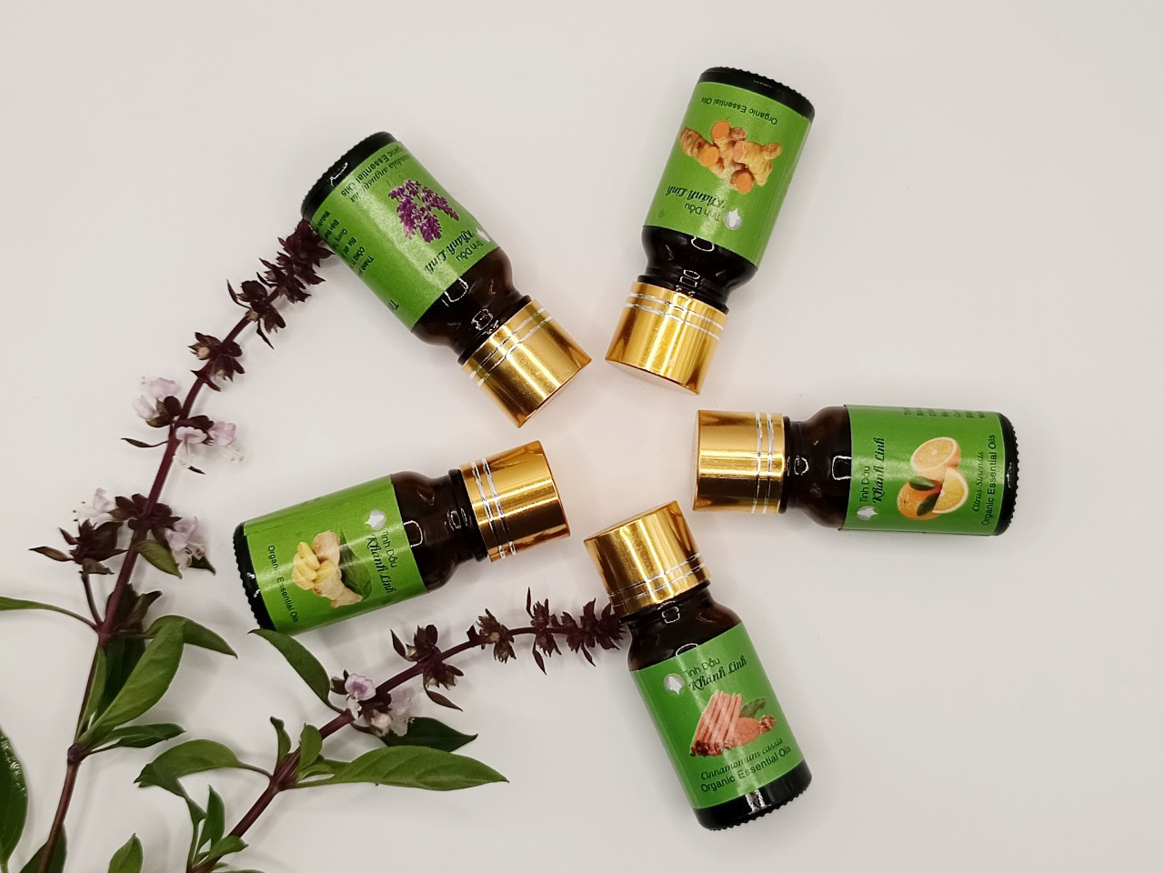 CÔNG DỤNG CỦA TINH DẦU CHĂM SÓC CƠ THỂ, RĂNG MIỆNG, TÓC VÀ DA