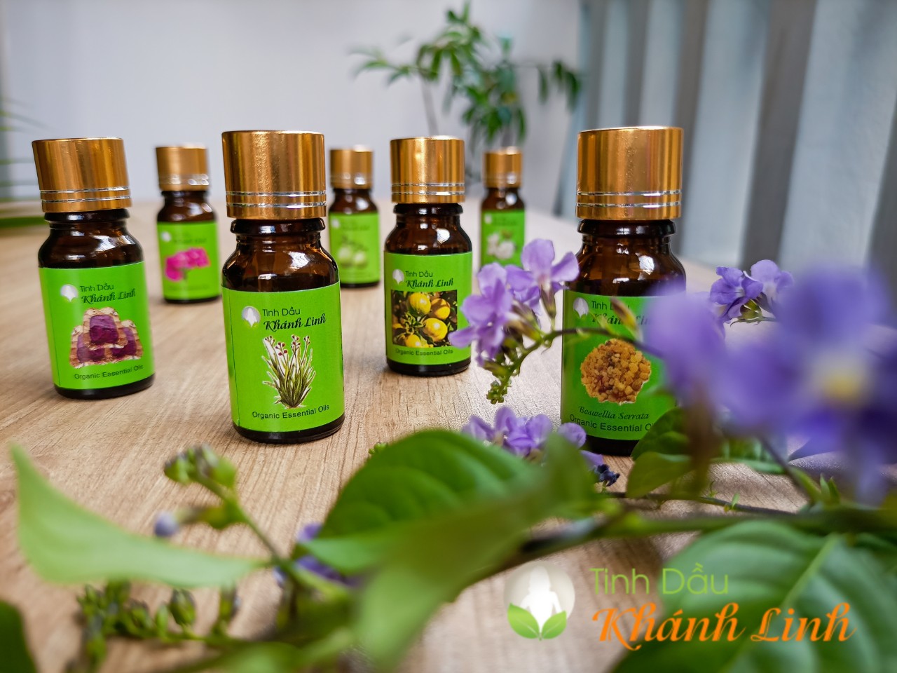 Tinh Dầu - Đâu Chỉ Là Chất Thơm?