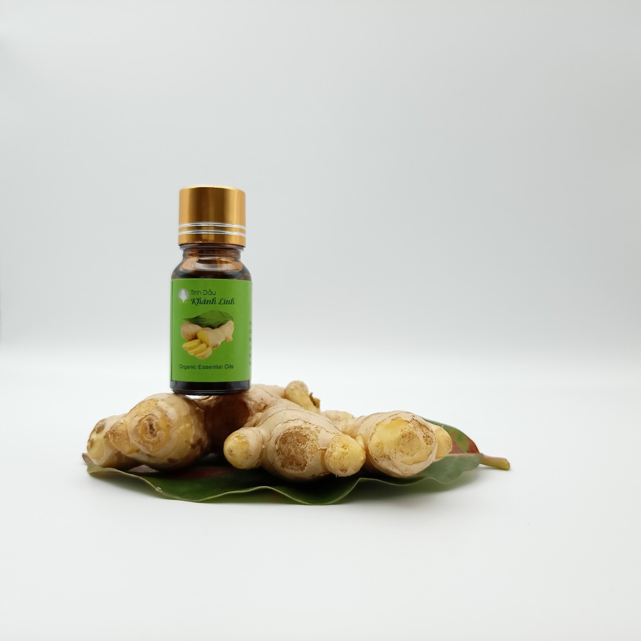 CÔNG DỤNG CỦA TINH DẦU GỪNG VỚI SỨC KHỎE
